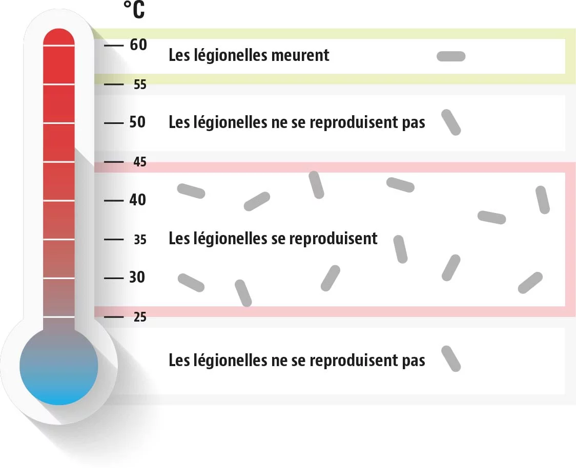 legionellen grafik fr