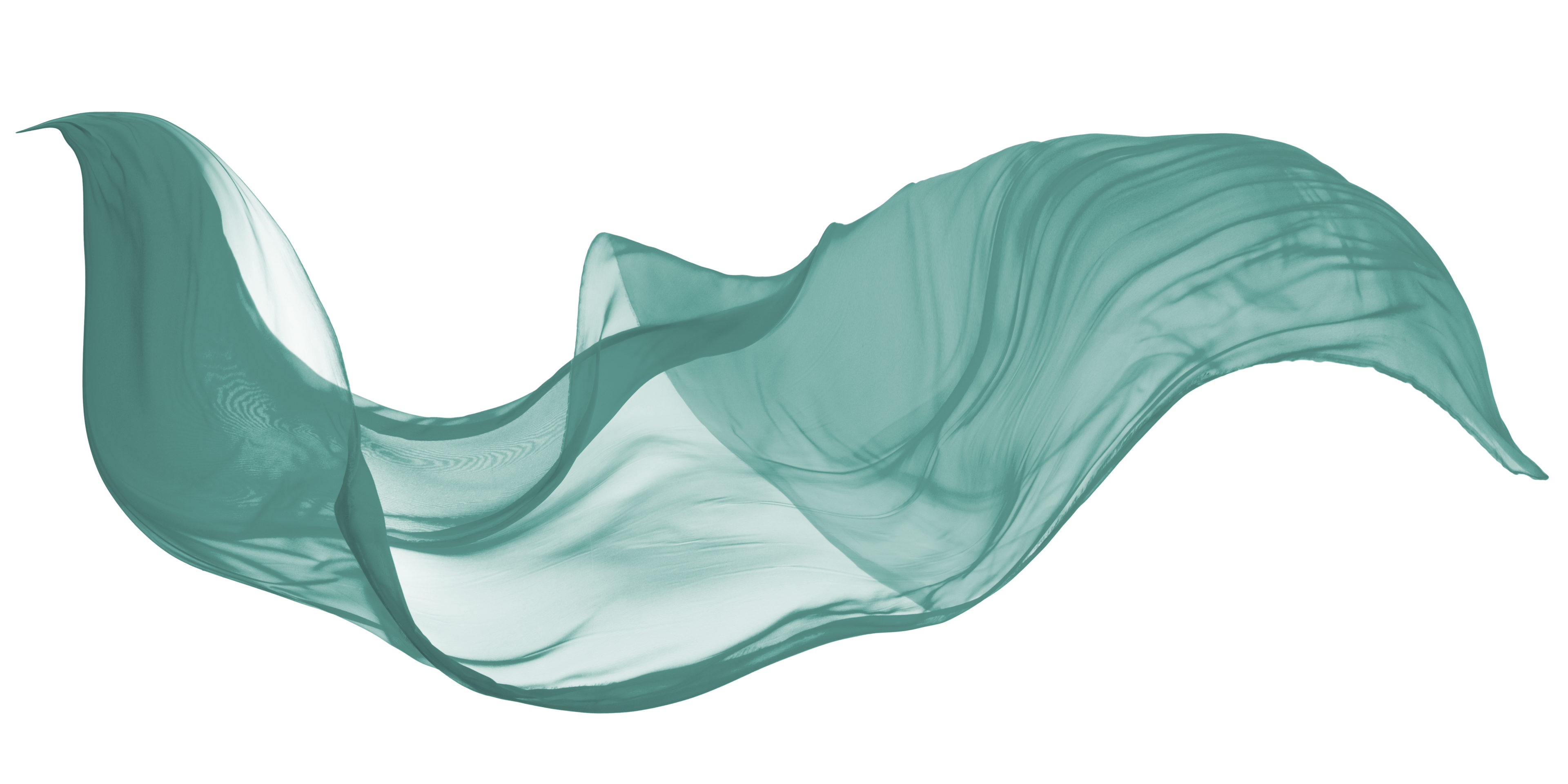 shutterstock 1089384326 scaled 1
