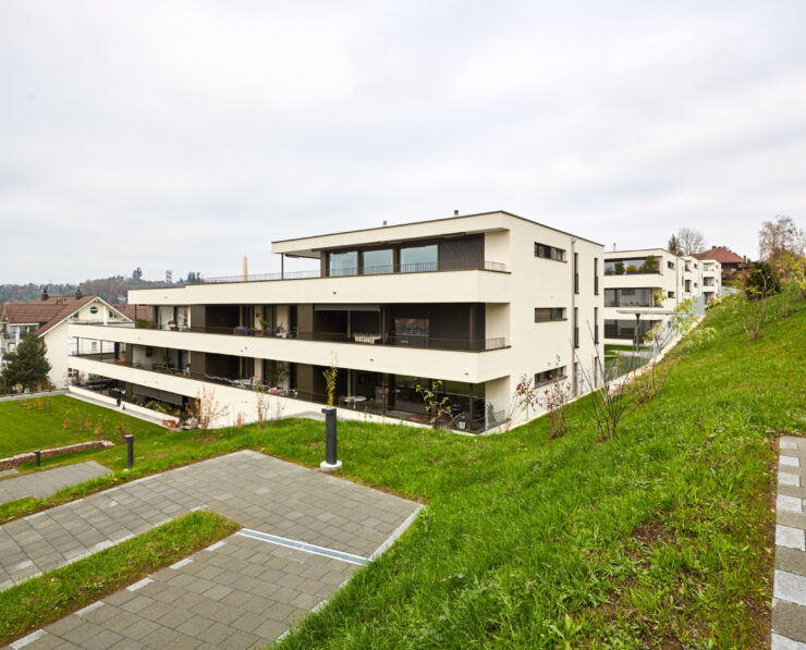 Vorschau-Referenz-Alpenstrasse-Lyss__9JU9630.jpg